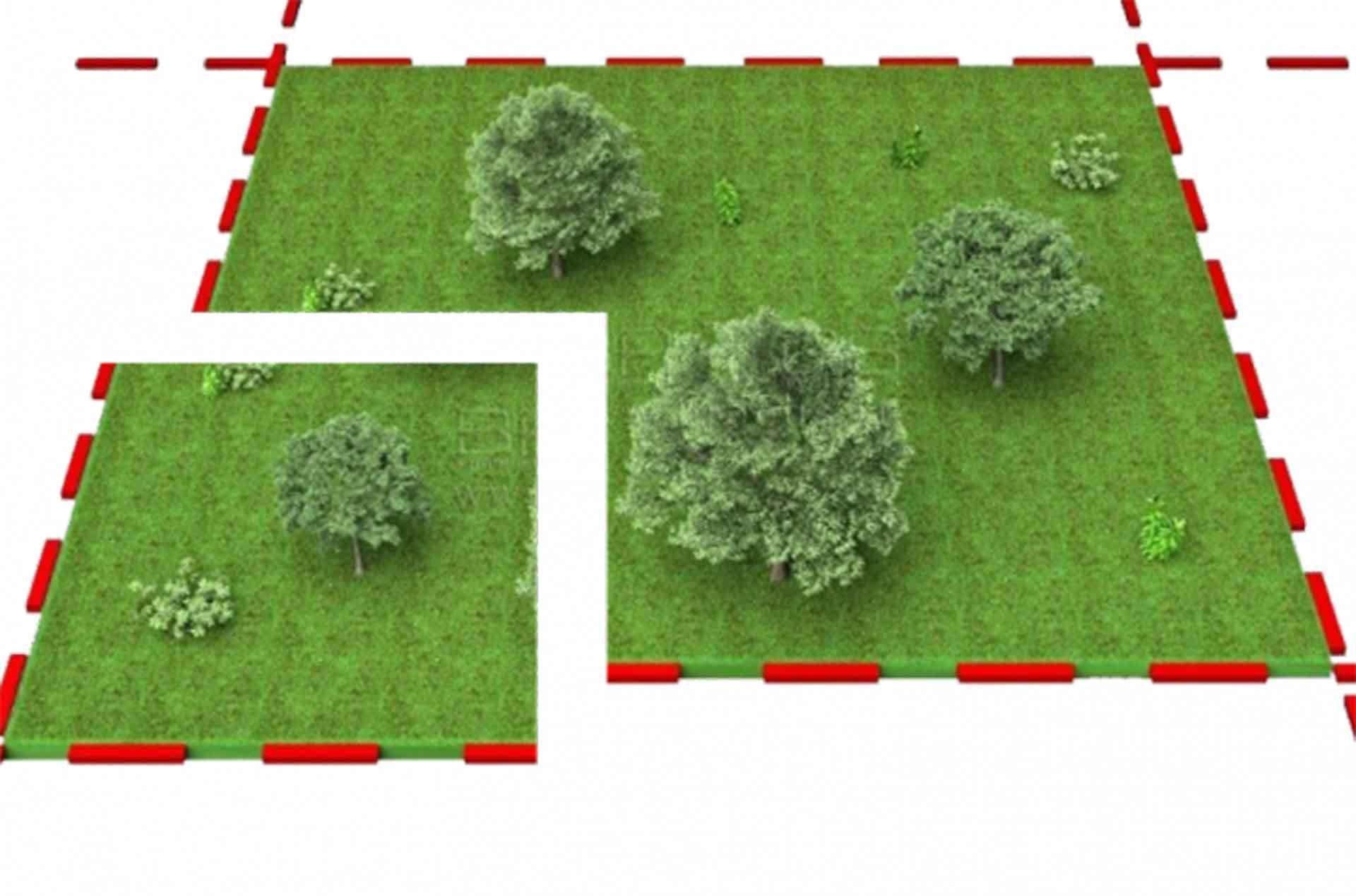 ��������� ������������� ����� ������� ����� ���������