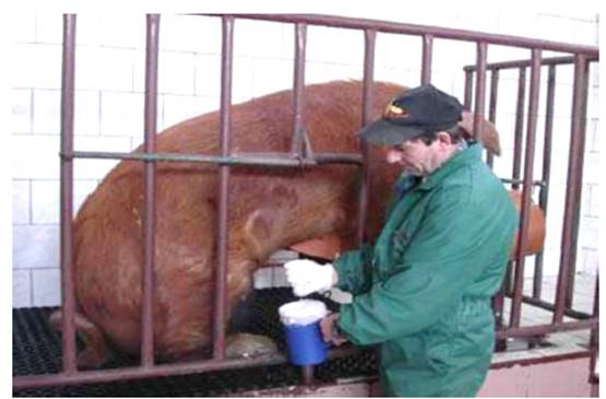 image015.jpg image015.jpg