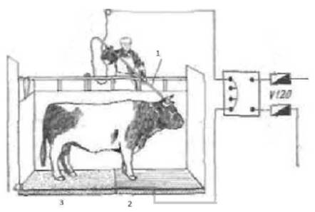 image014.jpg image014.jpg