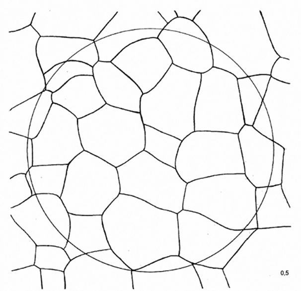 image013.jpg image013.jpg