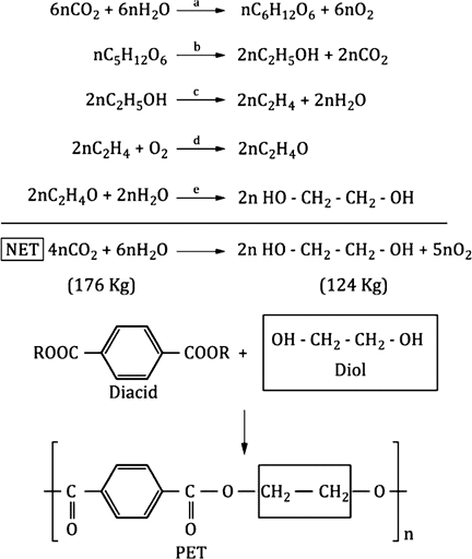 image007.png image007.png