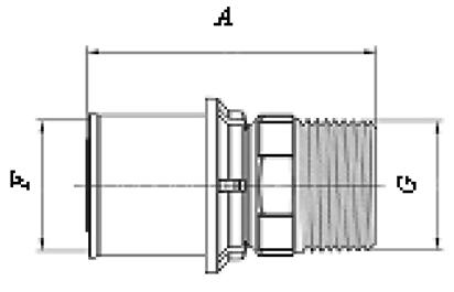 image039.jpg image039.jpg