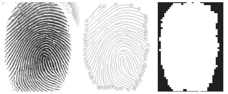 image024.jpg image024.jpg