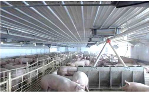 image026.jpg image026.jpg