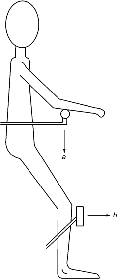 image004.png image004.png