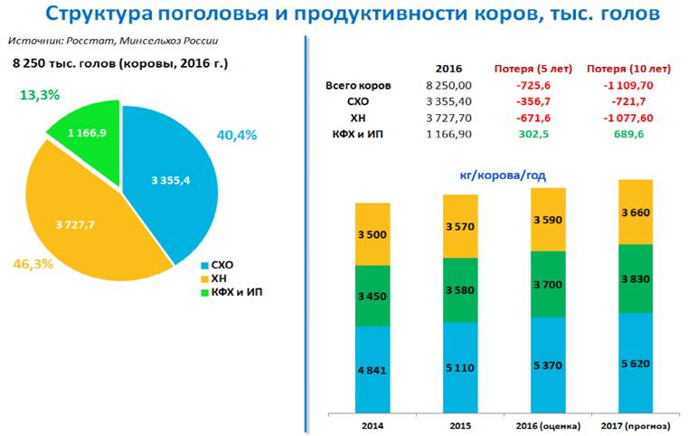 image002.jpg image002.jpg