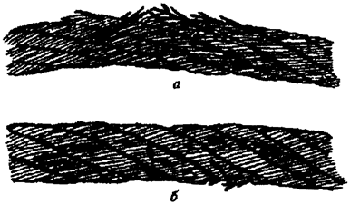 image003.png image003.png