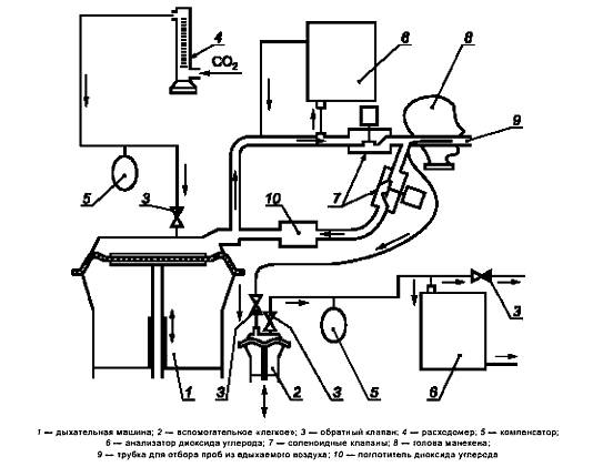 image008.jpg image008.jpg
