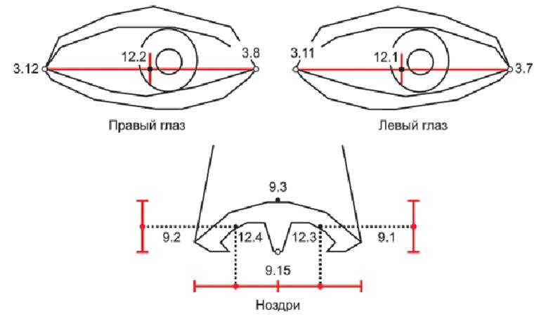 image008.jpg image008.jpg