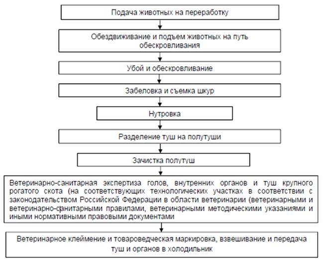 image011.jpg image011.jpg