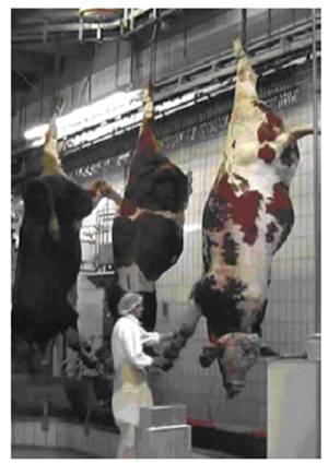 image018.jpg image018.jpg