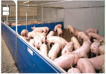 image029.jpg image029.jpg