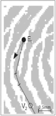 image021.jpg image021.jpg