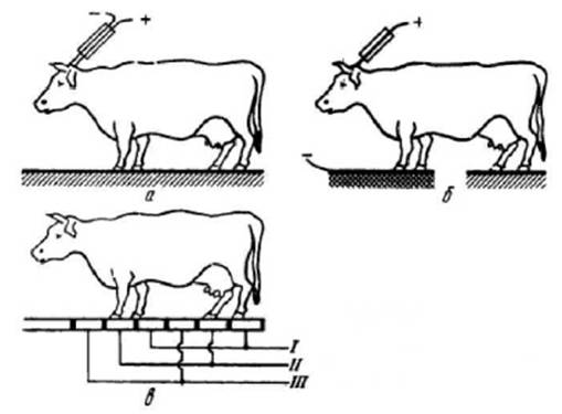 image013.jpg image013.jpg