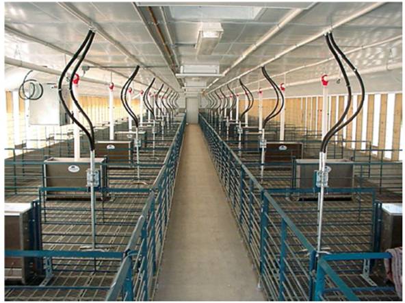 image038.jpg image038.jpg