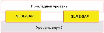 image005.jpg image005.jpg