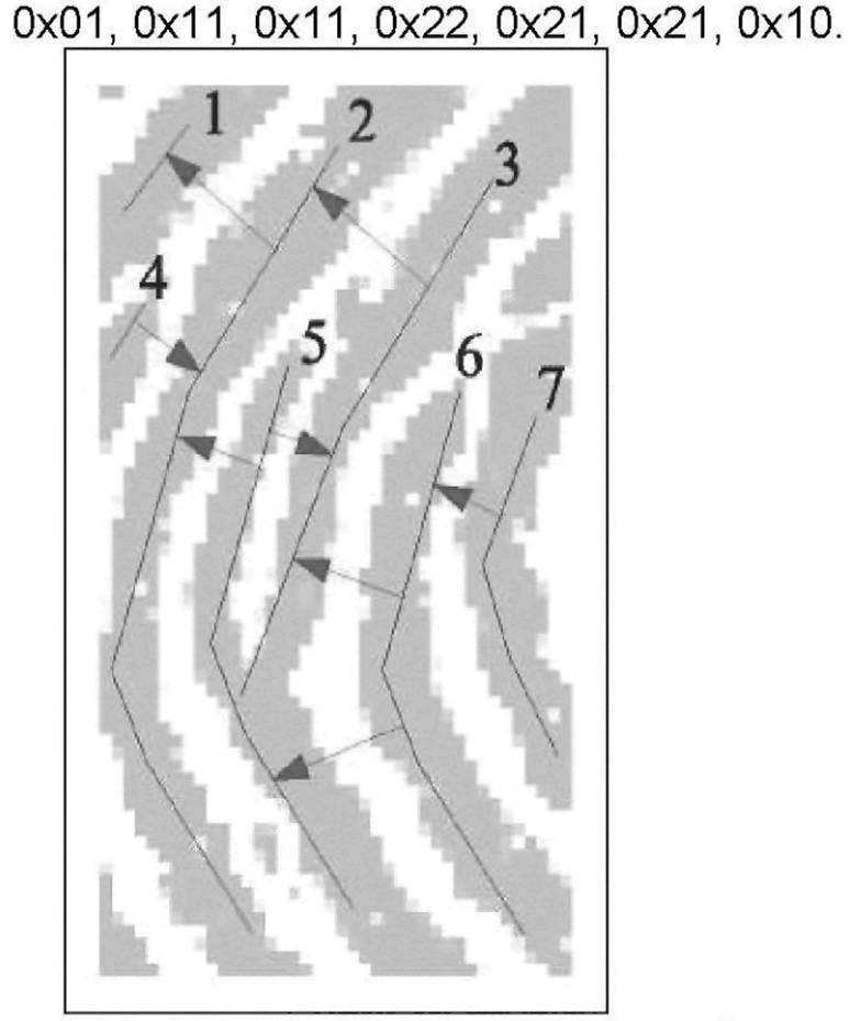 image023.jpg image023.jpg