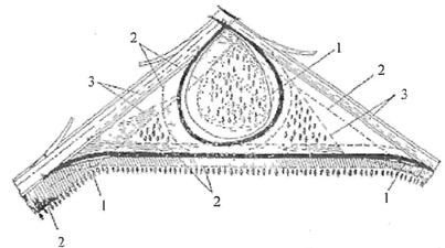 image008.jpg image008.jpg