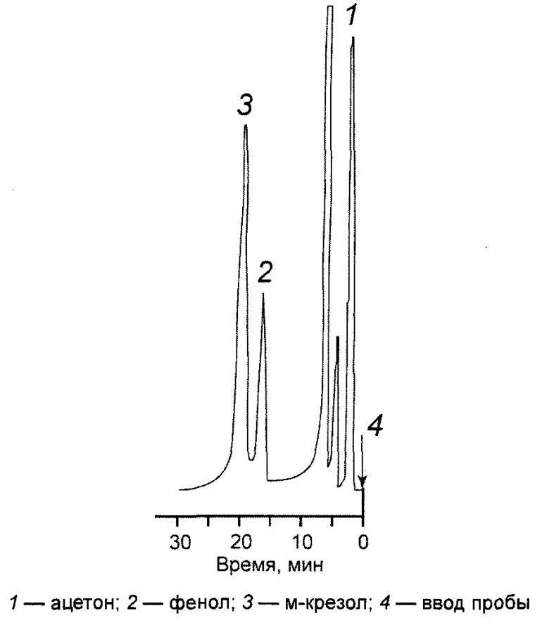 image004.jpg image004.jpg