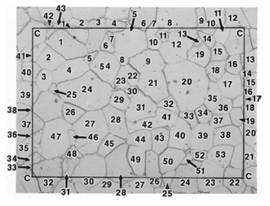 image028.jpg image028.jpg