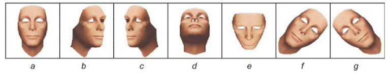 image006.gif image006.gif