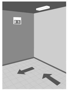 image005.jpg image005.jpg