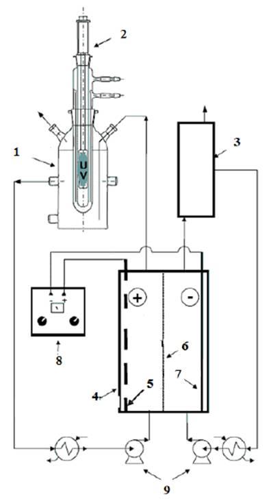 image013.jpg image013.jpg