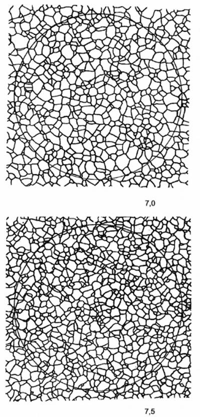 image022.jpg image022.jpg