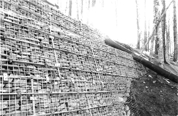 image032.gif