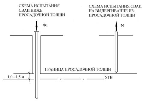 image002.jpg image002.jpg