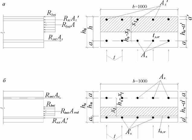 image005.jpg image005.jpg
