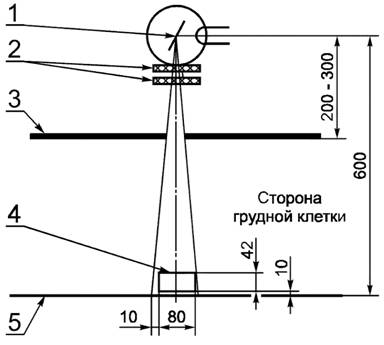 image007.jpg image007.jpg
