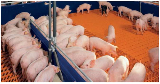 image025.jpg image025.jpg