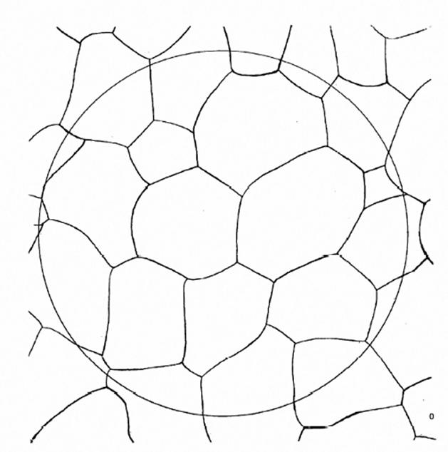 image012.jpg image012.jpg