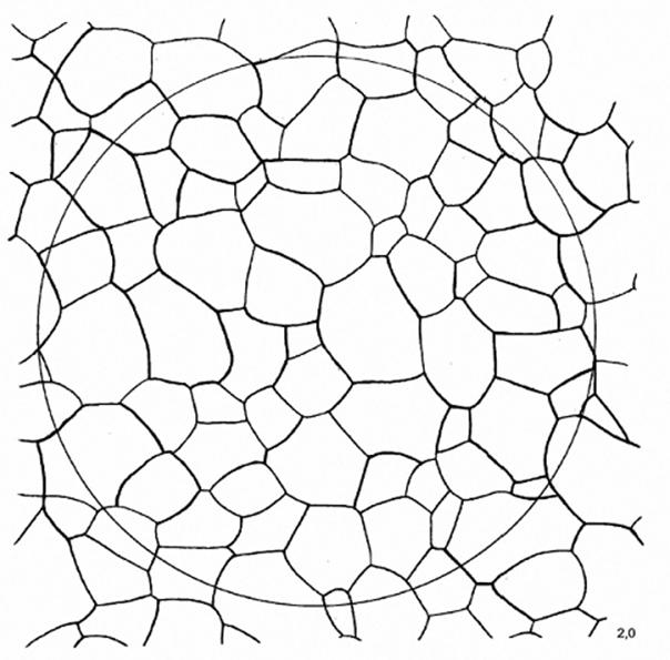 image016.jpg image016.jpg