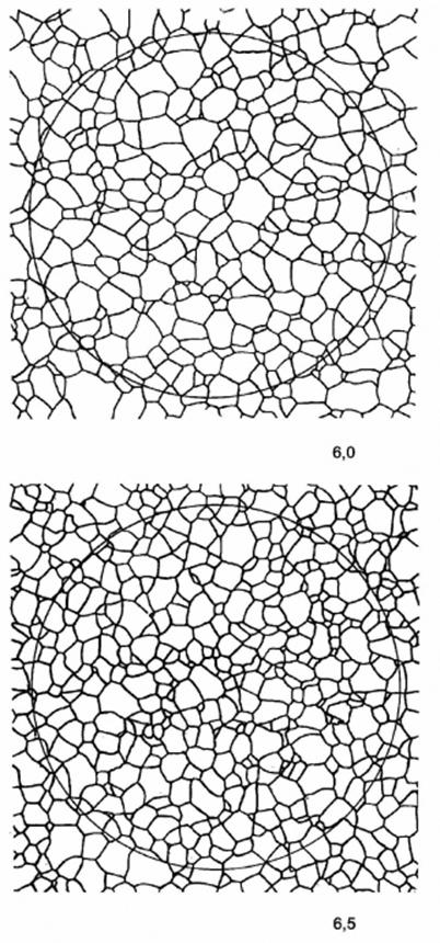 image021.jpg image021.jpg