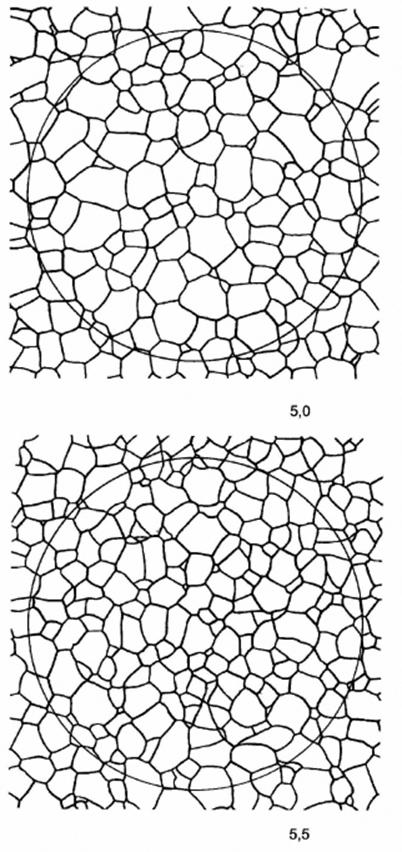 image020.jpg image020.jpg