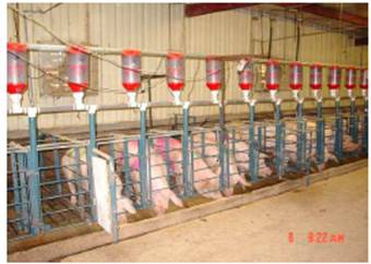 image030.jpg image030.jpg