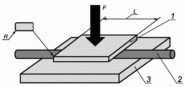 image005.jpg image005.jpg