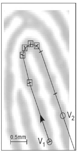 image019.jpg image019.jpg