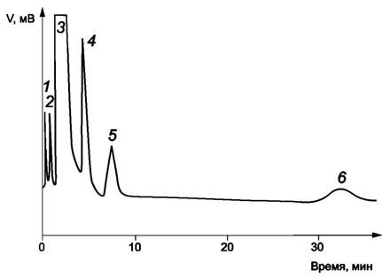 image002.jpg image002.jpg
