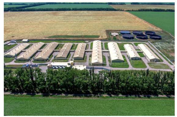 image013.jpg image013.jpg