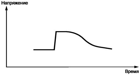 image013.jpg image013.jpg