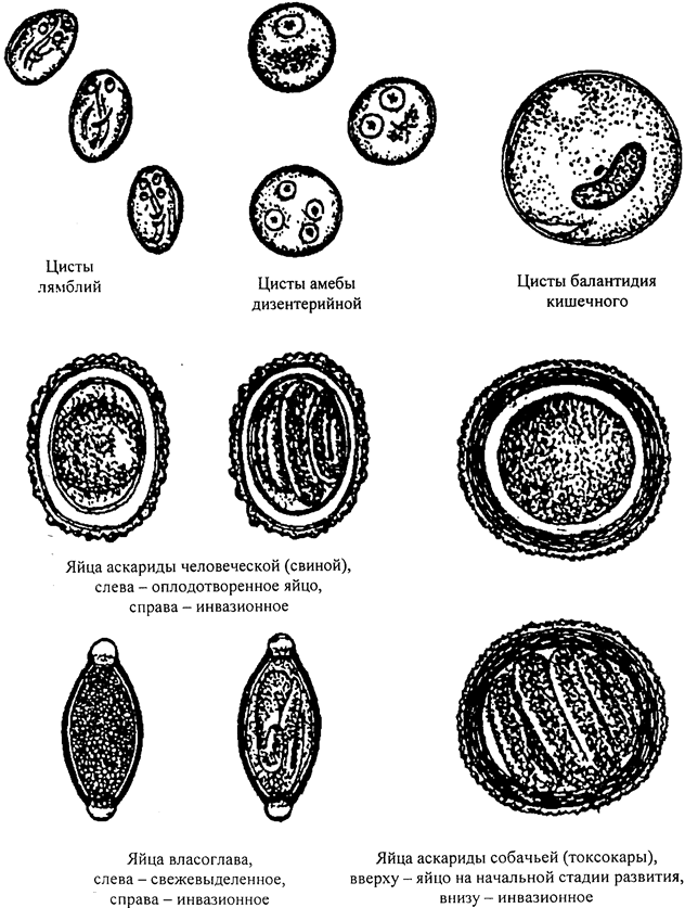 image004.png image004.png