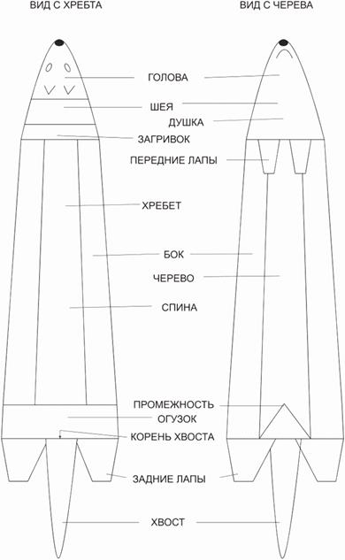 image002.jpg image002.jpg