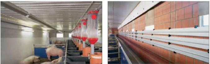 image055.jpg image055.jpg