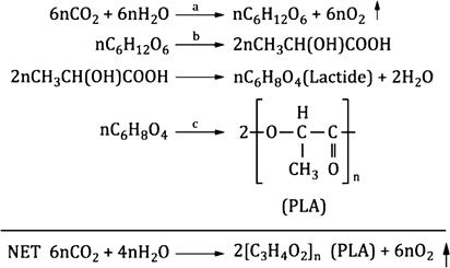 image005.png image005.png