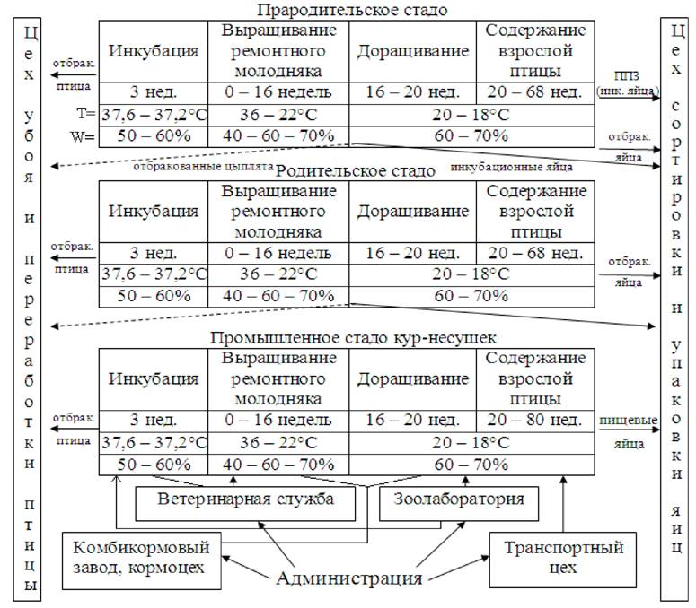 image004.jpg image004.jpg