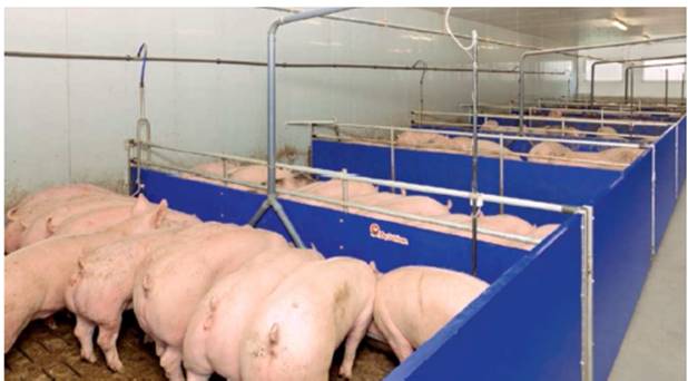 image028.jpg image028.jpg