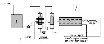 image037.jpg image037.jpg